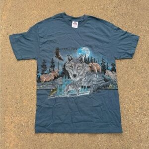 Vintage 1991 Denali National Park Tshirt